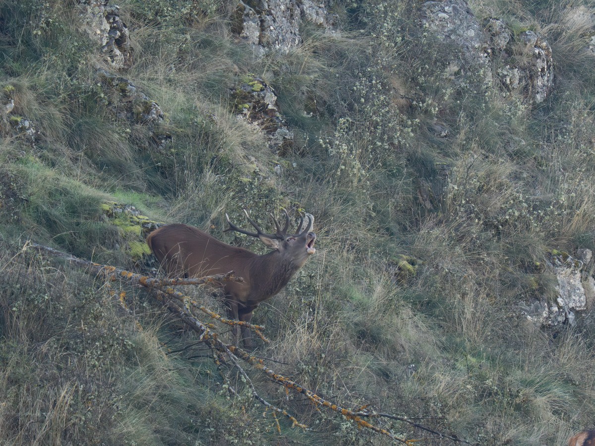 02102025-03 10 25 (13).jpg